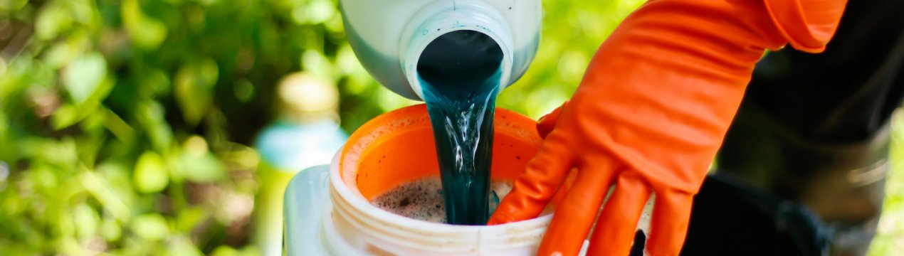 Обработка смородины бордосской смесью весной. . Обработка смородины бордосской смесью весной фото. Обработка смородины бордосской смесью весной-. картинка Обработка смородины бордосской смесью весной. картинка . От того, насколько своевременно и качественно вы проведете весеннюю обработку смородины, зависят и урожай, и здоровье куста в наступающем сезоне. Откладывать это дело в долгий ящик нельзя, ведь после раскрытия почек многие способы обработки станут недоступны.