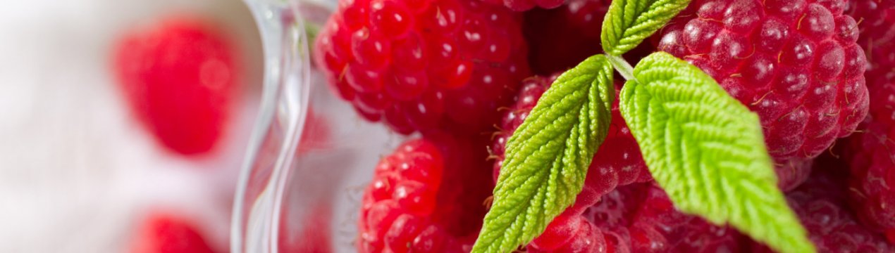 Українські виробники розчаровані низькими закупівельними цінами на малину для заморозки