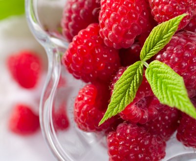  Українські виробники розчаровані низькими закупівельними цінами на малину для заморозки