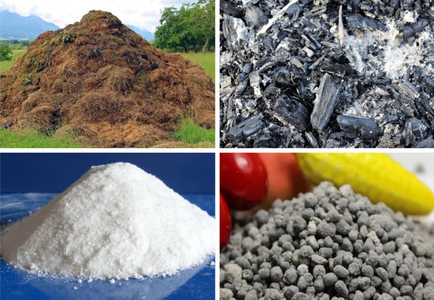 Підготовка грунту