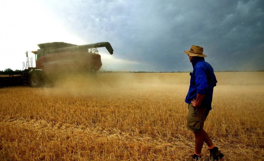 Нестача робочої сили в сільському господарстві Канади коштує мільярди і, як очікується, буде рости