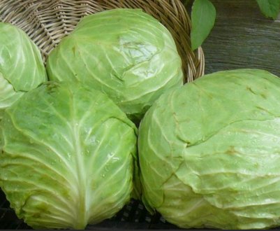 Чи можна мамі їсти капусту при годуванні грудьми