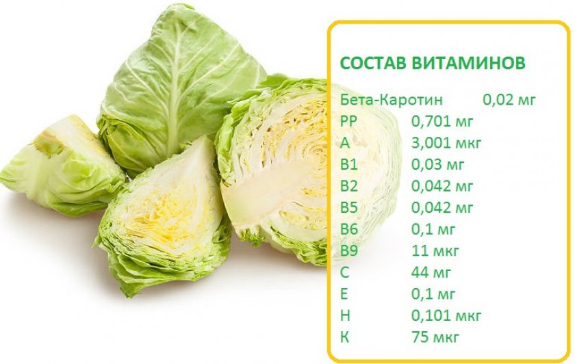 Состав белокочанной капусты