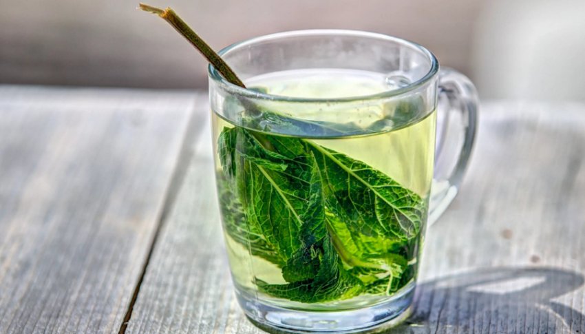 Чай из листьев смородины: польза и вред, чем полезен смородиновый чай,  применение в народной медицине