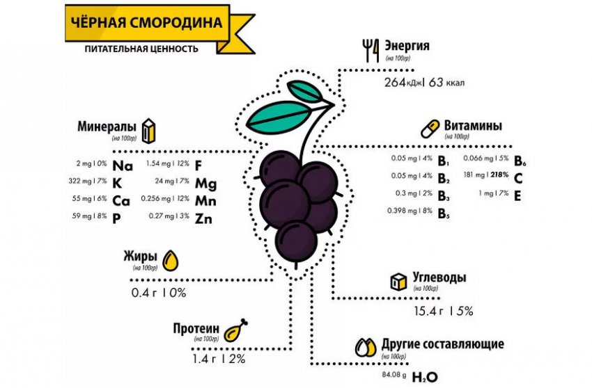 Польза и вред от морса из черной смородины. 95592.ptpngc.850. Польза и вред от морса из черной смородины фото. Польза и вред от морса из черной смородины-95592.ptpngc.850. картинка Польза и вред от морса из черной смородины. картинка 95592.ptpngc.850. Что собой представляет замороженная черная смородина, полезные свойства ее по своим потребительским характеристиками ничем не уступают свежим плодам? В ягодах практически полностью сохраняются вкусовые качества, они богаты ценными веществами и витаминами. Чтобы смородина приносила пользу, а не вред, важно знать какое воздействие она оказывает на организм человека.