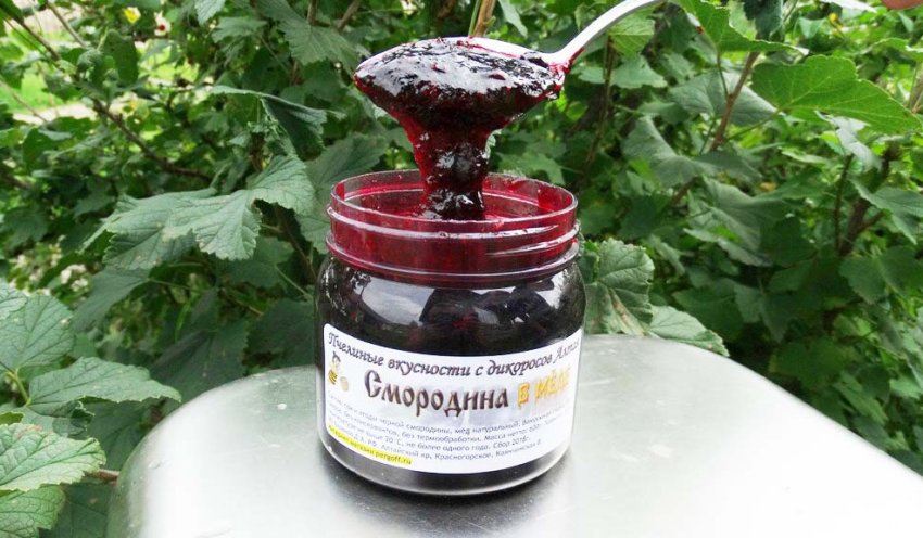 Польза и вред от морса из черной смородины. 95652.ptpono.850. Польза и вред от морса из черной смородины фото. Польза и вред от морса из черной смородины-95652.ptpono.850. картинка Польза и вред от морса из черной смородины. картинка 95652.ptpono.850. Что собой представляет замороженная черная смородина, полезные свойства ее по своим потребительским характеристиками ничем не уступают свежим плодам? В ягодах практически полностью сохраняются вкусовые качества, они богаты ценными веществами и витаминами. Чтобы смородина приносила пользу, а не вред, важно знать какое воздействие она оказывает на организм человека.