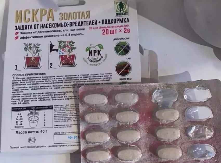 Почки смородины с почковым клещом фото. 95653.ptpopc.850. Почки смородины с почковым клещом фото фото. Почки смородины с почковым клещом фото-95653.ptpopc.850. картинка Почки смородины с почковым клещом фото. картинка 95653.ptpopc.850. Черная смородина завоевала популярность у садоводов благодаря вкусным и полезным ягодам, а также непритязательности в уходе. Правда, звание неприхотливой культуры порой играет с ней злую шутку. Неопытные дачники, не совсем правильно истолковав это понятие, запускают кустарник и невольно отдают его на растерзание врагам. Самый коварный из них — смородиновый почковый клещ, который сначала лишает урожая, а потом губит растение.