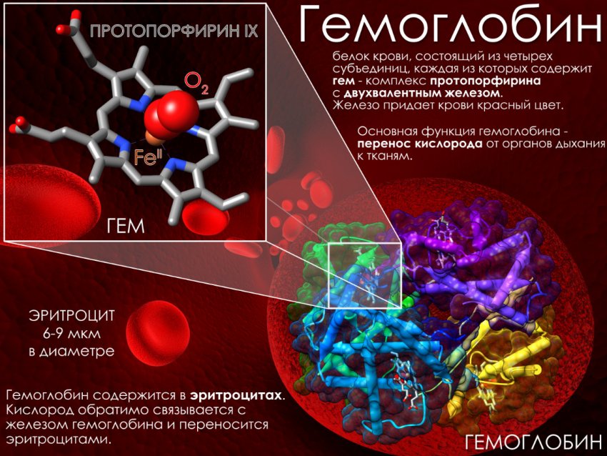 Польза и вред от морса из черной смородины. 95654.ptpopc.850. Польза и вред от морса из черной смородины фото. Польза и вред от морса из черной смородины-95654.ptpopc.850. картинка Польза и вред от морса из черной смородины. картинка 95654.ptpopc.850. Что собой представляет замороженная черная смородина, полезные свойства ее по своим потребительским характеристиками ничем не уступают свежим плодам? В ягодах практически полностью сохраняются вкусовые качества, они богаты ценными веществами и витаминами. Чтобы смородина приносила пользу, а не вред, важно знать какое воздействие она оказывает на организм человека.
