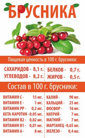 Как вырастить бруснику на садовом участке. Смотреть фото Как вырастить бруснику на садовом участке. Смотреть картинку Как вырастить бруснику на садовом участке. Картинка про Как вырастить бруснику на садовом участке. Фото Как вырастить бруснику на садовом участке