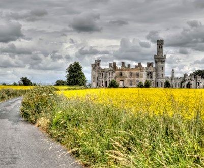 Президент UFU потребує маркетингової організації