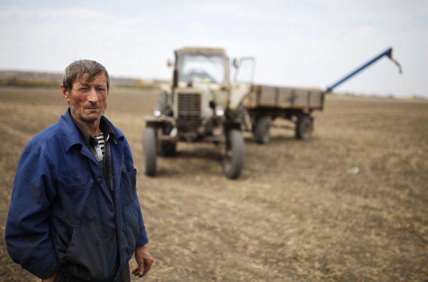 В Північній Ірландії фермерів закликають «думати безпечно»