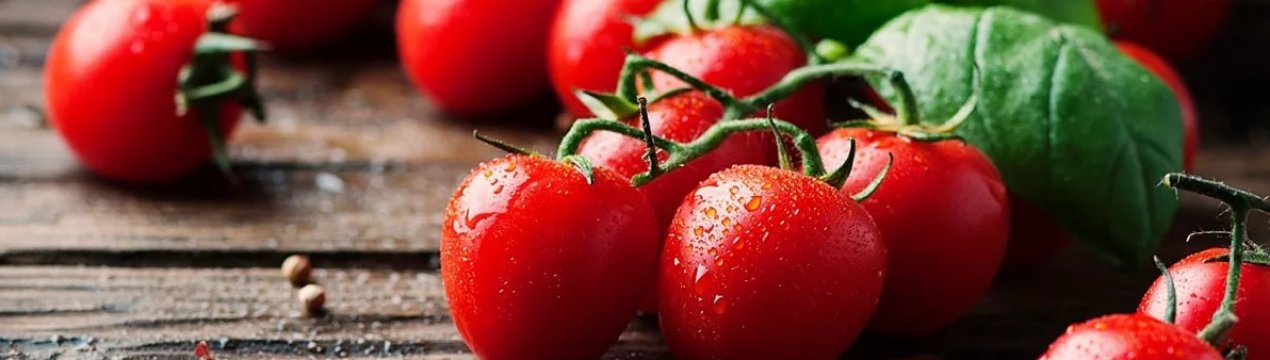 Українські томати почали дешевшати