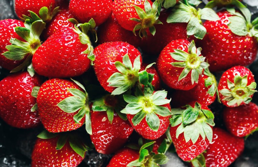 З початку літа підмосковні аграрії відправили в продаж 450 тонн полуниці З початку літа підмосковні аграрії відправили в продаж 450 тонн полуниці