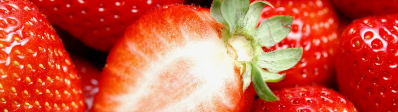 З початку літа підмосковні аграрії відправили в продаж 450 тонн полуниці