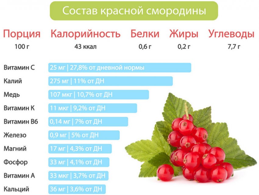 Смородина красная сорт йонкер ван тетс отзывы фото. 95957.ptr3ho.850. Смородина красная сорт йонкер ван тетс отзывы фото фото. Смородина красная сорт йонкер ван тетс отзывы фото-95957.ptr3ho.850. картинка Смородина красная сорт йонкер ван тетс отзывы фото. картинка 95957.ptr3ho.850. У каждого хорошего хозяина в саду непременно найдется клочок места под смородину – эта культура при правильном уходе отличается урожайностью и вкусом плодов. Джонкер Ван Тетс – отличный выбор для опытных садоводов, новичков, планирующих испытать свои силы. Нетребовательность, обильное плодоношение, вкусовые качества – малая часть достоинств сорта. Перед тем, как приступать к выращиванию, нужно изучить требования, которые предъявляет садоводу красная смородина Джонкер Ван Тетс. Описание сорта, правила агротехники – это позволит не допустить ошибок и получить хороший урожай.