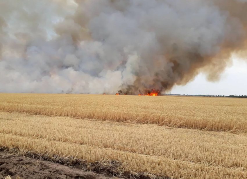 В Миколаївській області згоріло 33 га пшениці та сухостою В Миколаївській області згоріло 33 га пшениці та сухостою