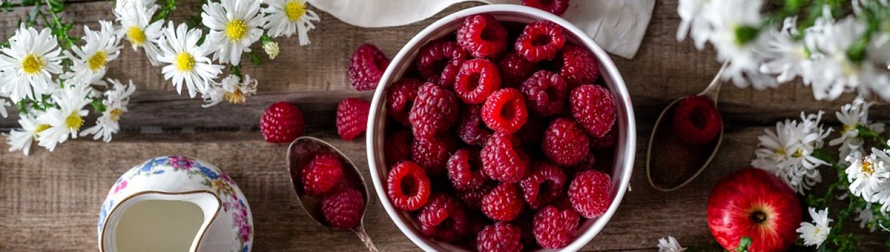 Недолік зареєстрованих ЗЗР для ягід гальмує сертифікацію за GLOBAL G. A. P. в Україні