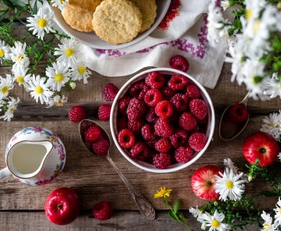 Недолік зареєстрованих ЗЗР для ягід гальмує сертифікацію за GLOBAL G. A. P. в Україні 