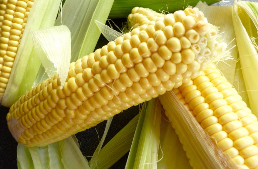 Чернігівське агропідприємство збільшило потужності зерносховищ до 400 тисяч тонн Чернігівське агропідприємство збільшило потужності зерносховищ до 400 тисяч тонн