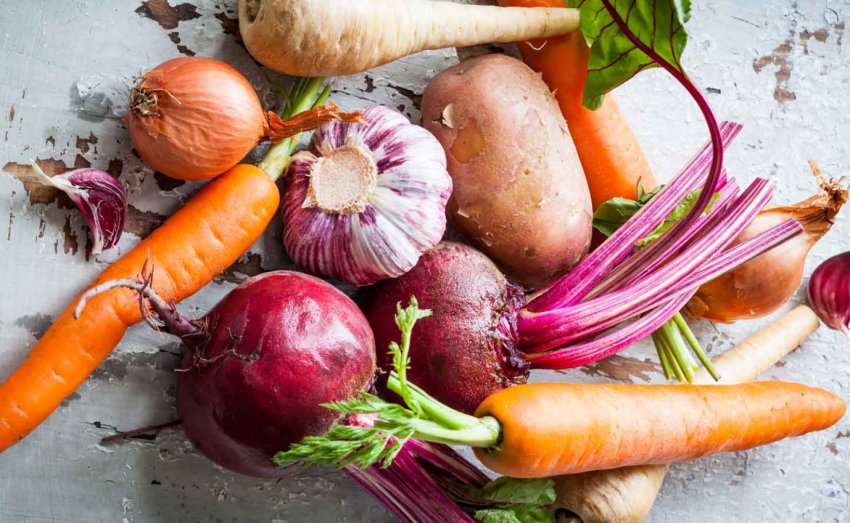 Недолік зареєстрованих ЗЗР для ягід гальмує сертифікацію за GLOBAL G. A. P. в Україні Недолік зареєстрованих ЗЗР для ягід гальмує сертифікацію за GLOBAL G. A. P. в Україні