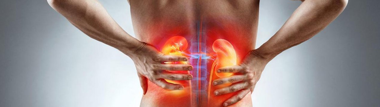 Особливості використання журавлини при лікуванні хвороб нирок і сечового міхура