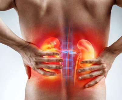 Особливості використання журавлини при лікуванні хвороб нирок і сечового міхура