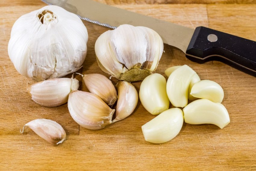 Часник Часник