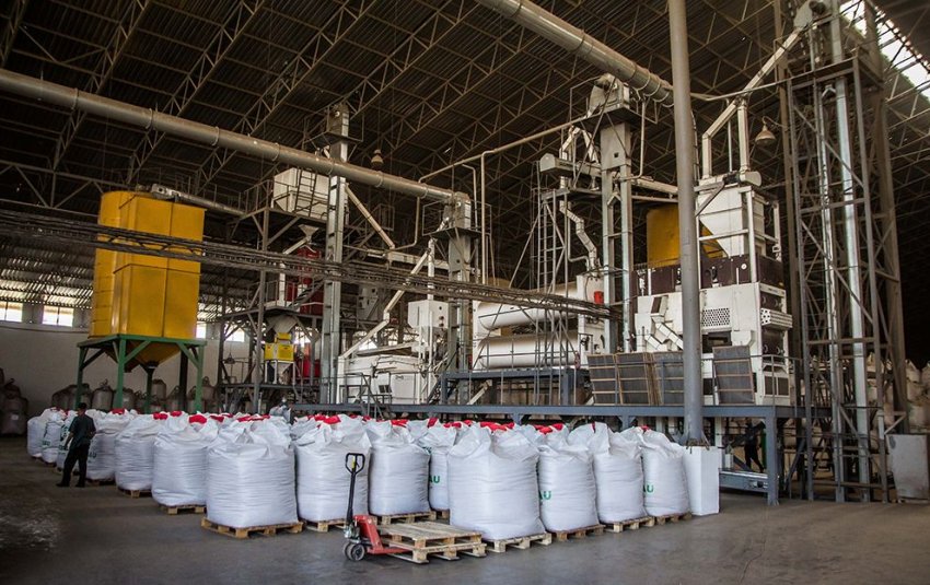 «Агропродсервис» відкрив другу лінію по доробці насіння на заводі в Тернопільській області «Агропродсервис» відкрив другу лінію по доробці насіння на заводі в Тернопільській області