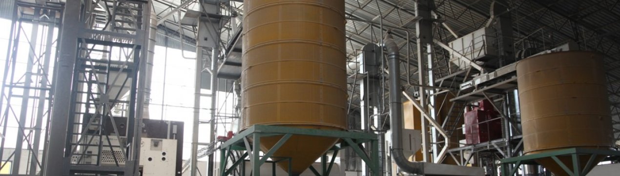 «Агропродсервис» відкрив другу лінію по доробці насіння на заводі в Тернопільській області