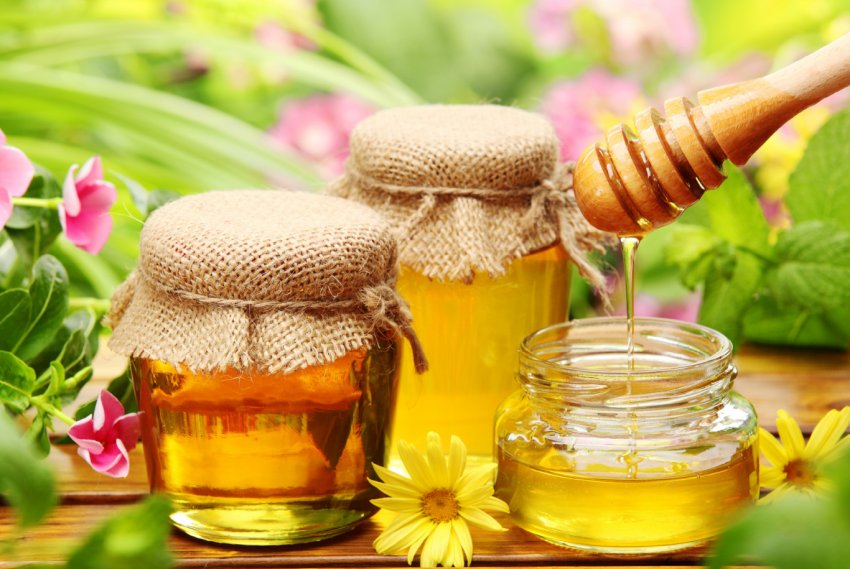 Нинішній медовий сезон в Україні буде невдалим Нинішній медовий сезон в Україні буде невдалим