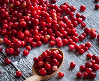 Журавлина — алерген для людини чи ні