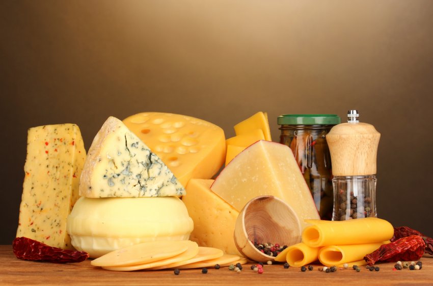 Російські молочники готуються до наймасштабнішого сирного фестивалю Російські молочники готуються до наймасштабнішого сирного фестивалю