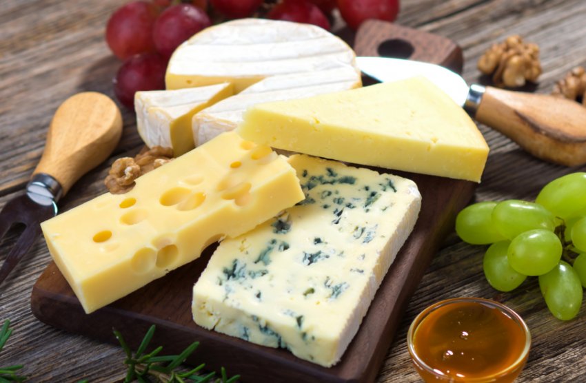 Російські молочники готуються до наймасштабнішого сирного фестивалю Російські молочники готуються до наймасштабнішого сирного фестивалю