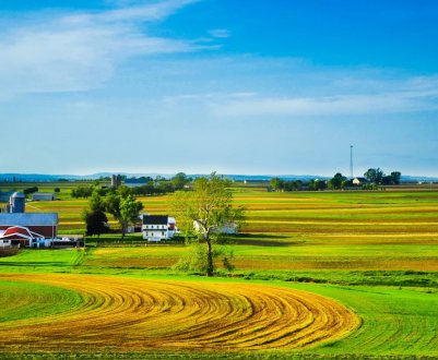 Члени СОТ стурбовані субсидуванням американських фермерів і планами ЄС з Brexit