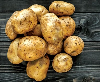 Євросоюз вирішив не давати дозволу на використання хлорпропама