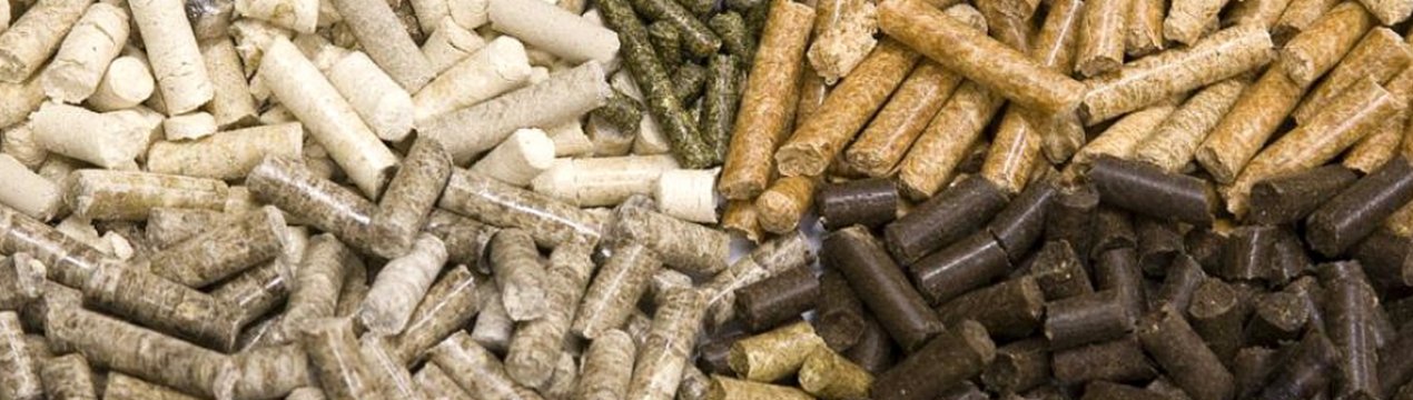 BP Ventures інвестує в технологію виробництва кормів для тварин з природного газу