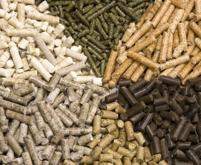 BP Ventures інвестує в технологію виробництва кормів для тварин з природного газу