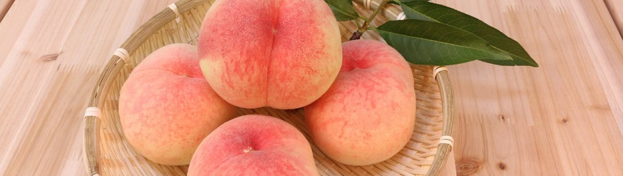 На Півдні України почався збір ранніх сортів персиків