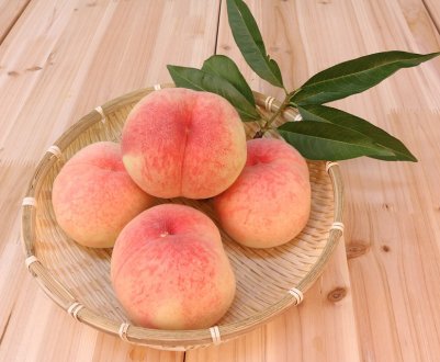 На Півдні України почався збір ранніх сортів персиків