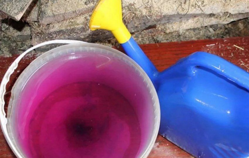 Розчин марганцівки Розчин марганцівки