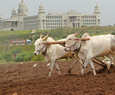 США та Австралія ставлять під сумнів нову схему підтримки сільськогосподарського сектора Індії