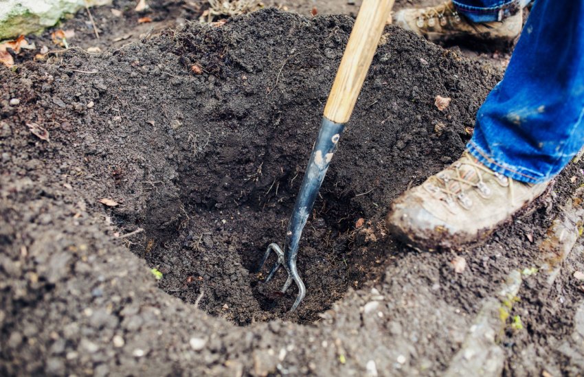 Підготовка посадкової ями