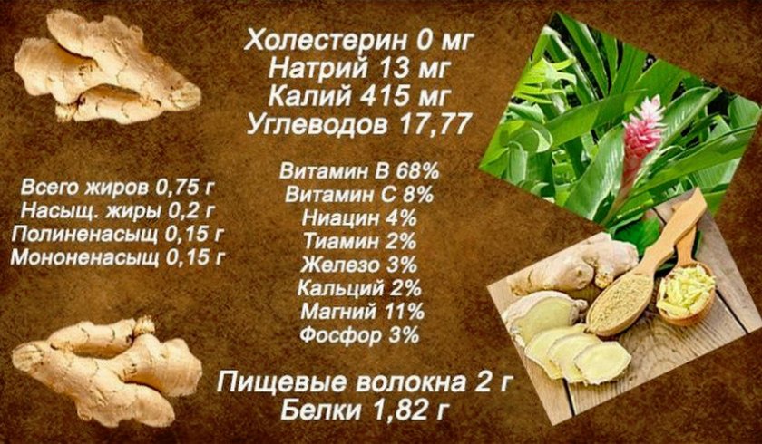 Состав имбиря Состав имбиря