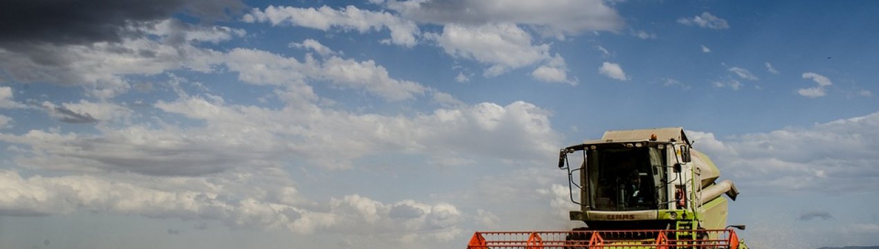 Посеред поля на Запоріжжі потонув комбайн