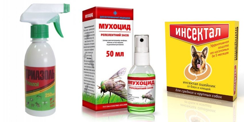 Народные средства лечения чесотки у овец thumbnail