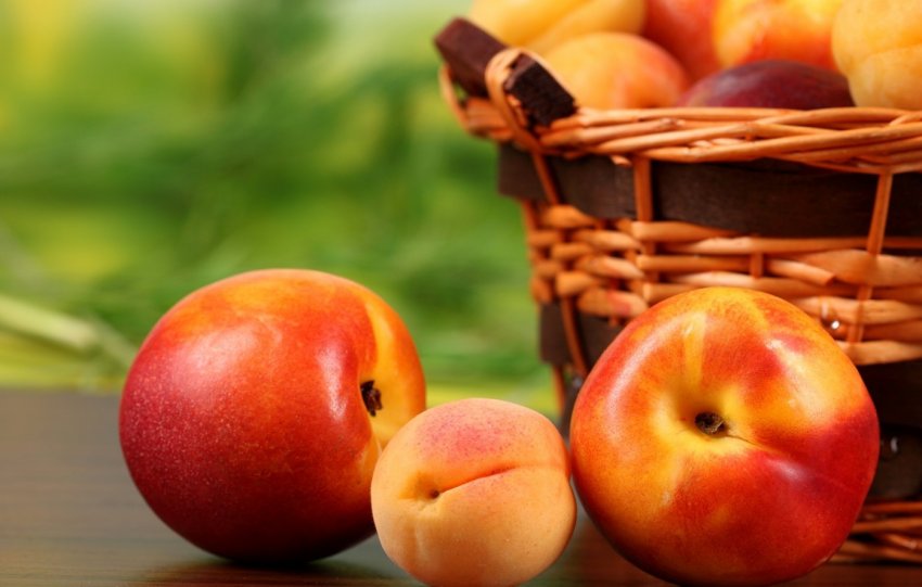 На Півдні України почався збір ранніх сортів персиків