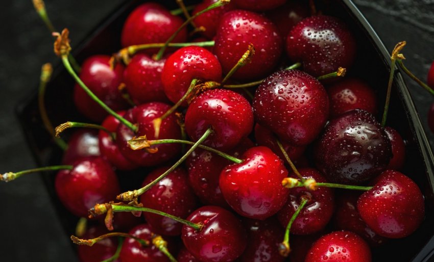Українська черешня вперше вирушила в Китай Українська черешня вперше вирушила в Китай
