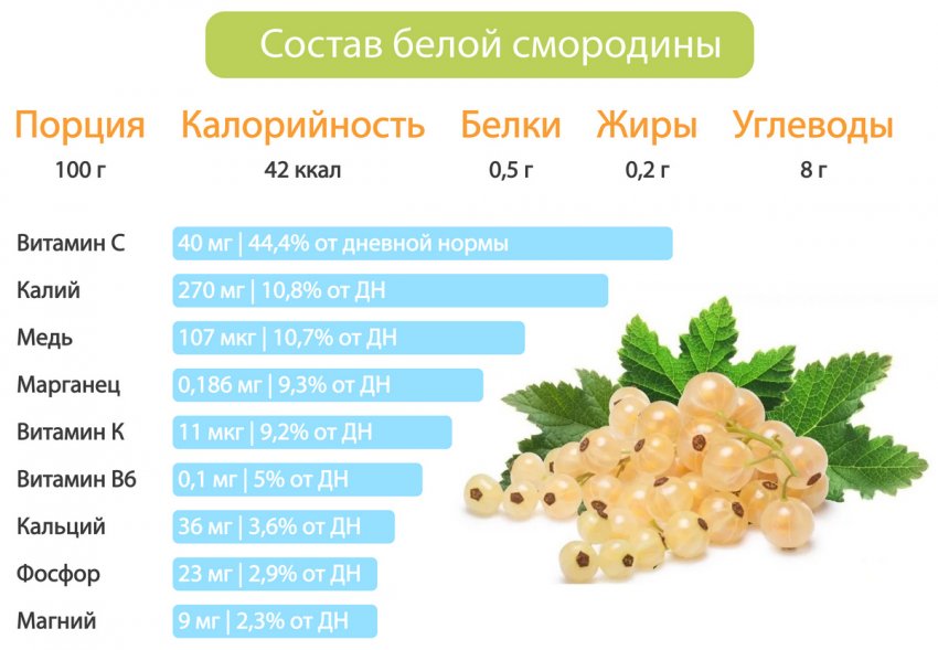 Складу білої смородини