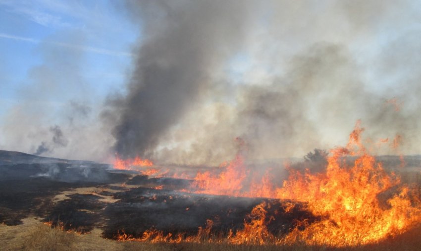 В Донецькій області згоріло 50 гектарів зернових В Донецькій області згоріло 50 гектарів зернових