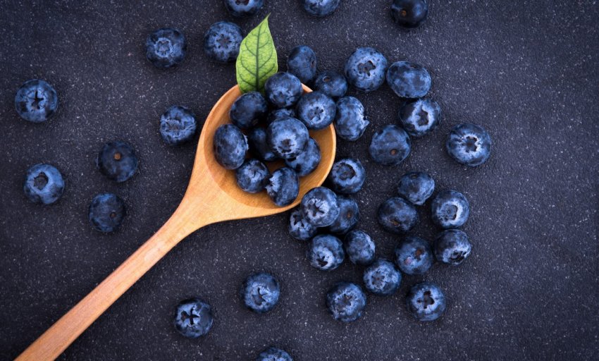 В Україні відкрився сезон переробки чорниці В Україні відкрився сезон переробки чорниці